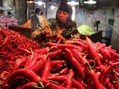 BBM BELUM NAIK, HARGA CABAI KERITING SUDAH TEMBUS Rp 50.000