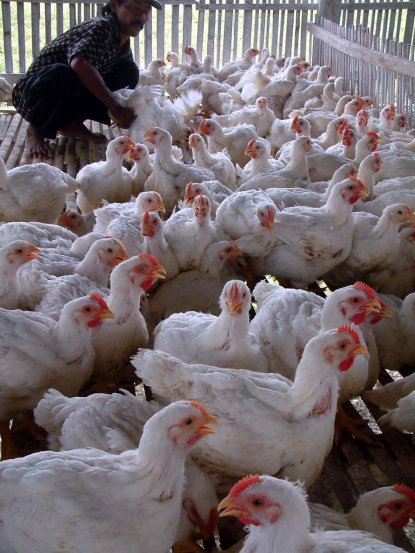  EVALUASI PELAKSANAAN OP, DISPERINDAG INTENS PANTAU HARGA KEBUTUHAN POKOK                