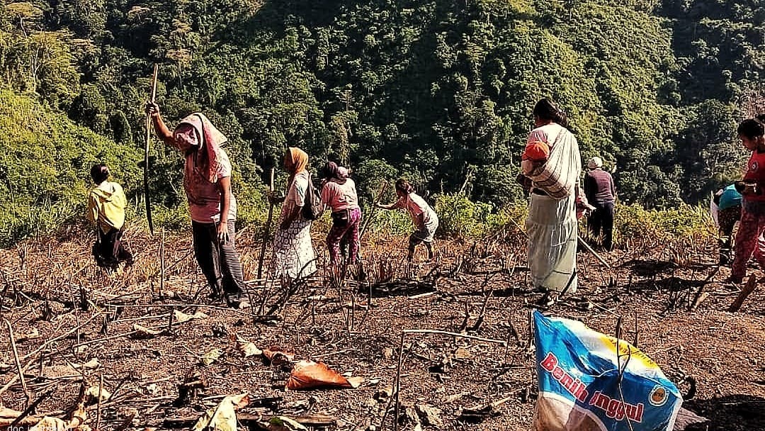 Kementan Siapkan Antisipasi Hadapi Kekeringan
