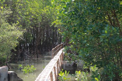 World Environment Day, Alarm Siaga Atasi Problem Lingkungan 