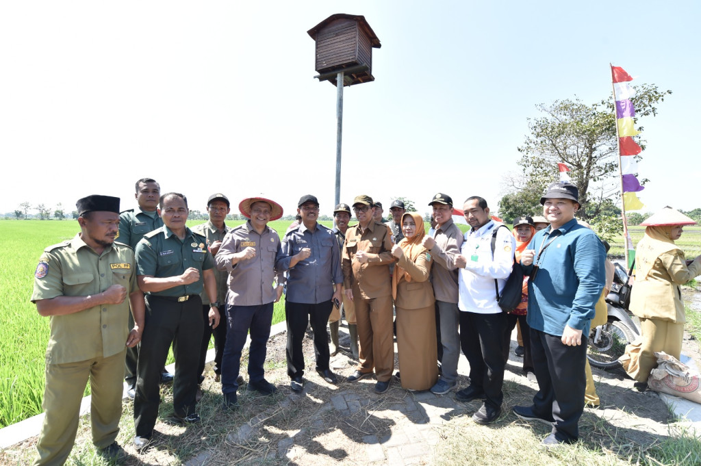 Kunjungan Lapang Dirjen Tanaman Pangan ke Lokasi Rumah Burung Hantu
