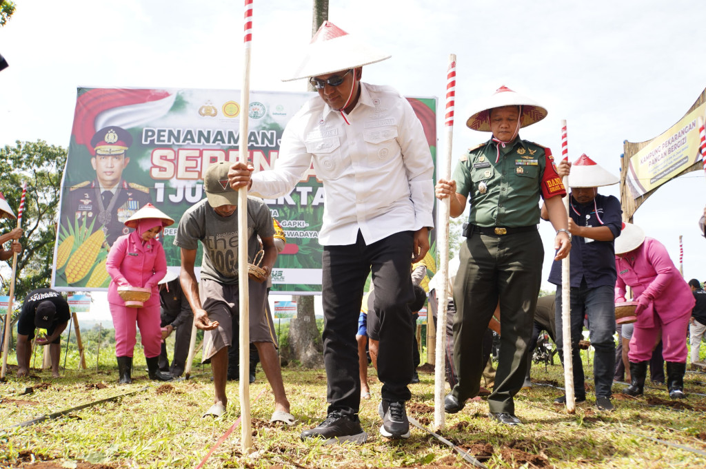 Penanaman Jagung Serentak 1 Juta Hektar di Kabupaten Pasuruan