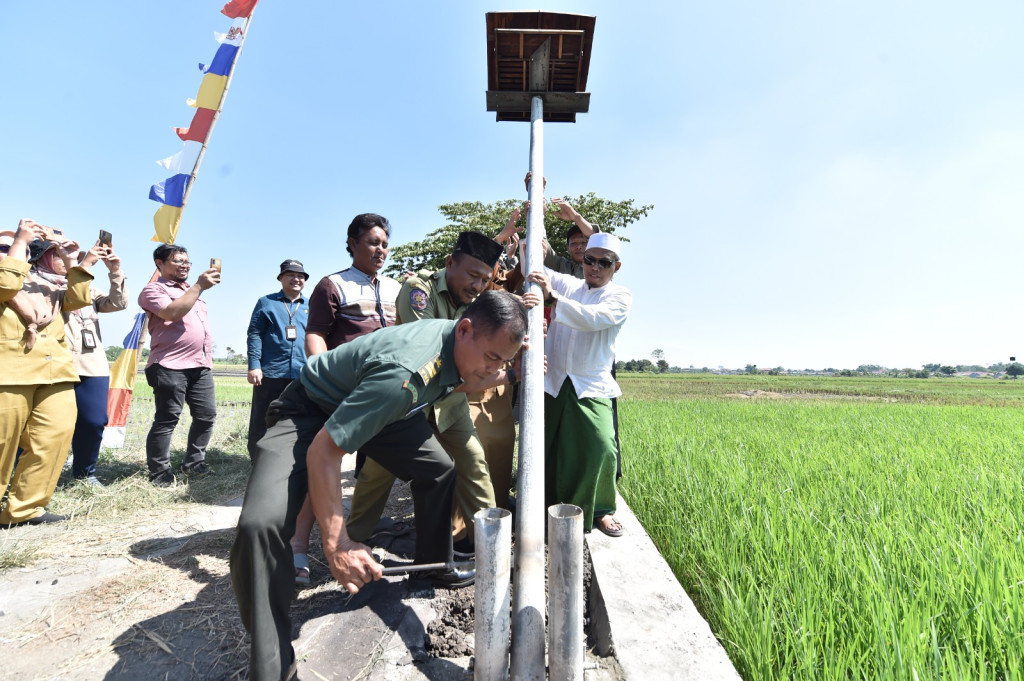 Kunjungan Lapang Dirjen Tanaman Pangan ke Lokasi Rumah Burung Hantu